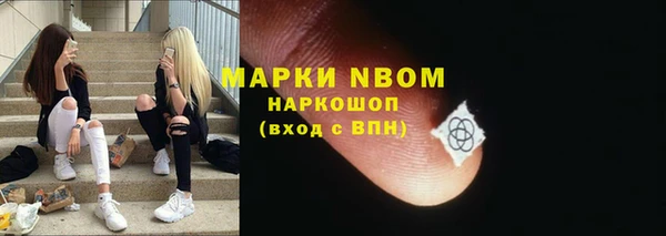 сатива Дмитровск