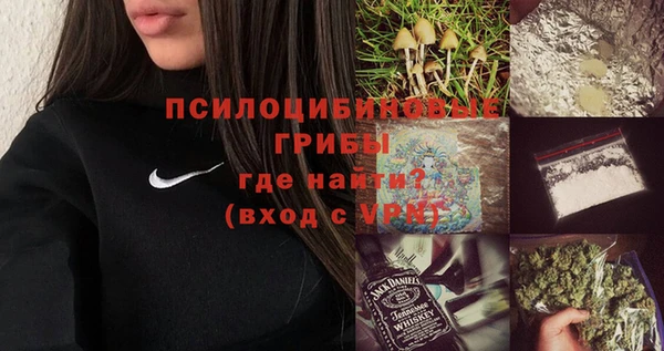 сатива Дмитровск