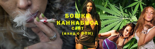 сатива Дмитровск